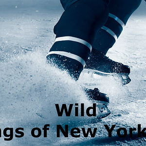 mikaelaroseevans avatar