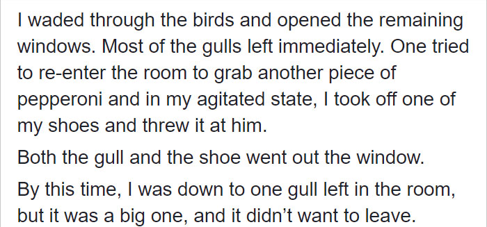 worst-hotel-guest-fairmont-empress-nick-burchill-38 worst-hotel-guest-fairmont-empress-nick-burchill-38