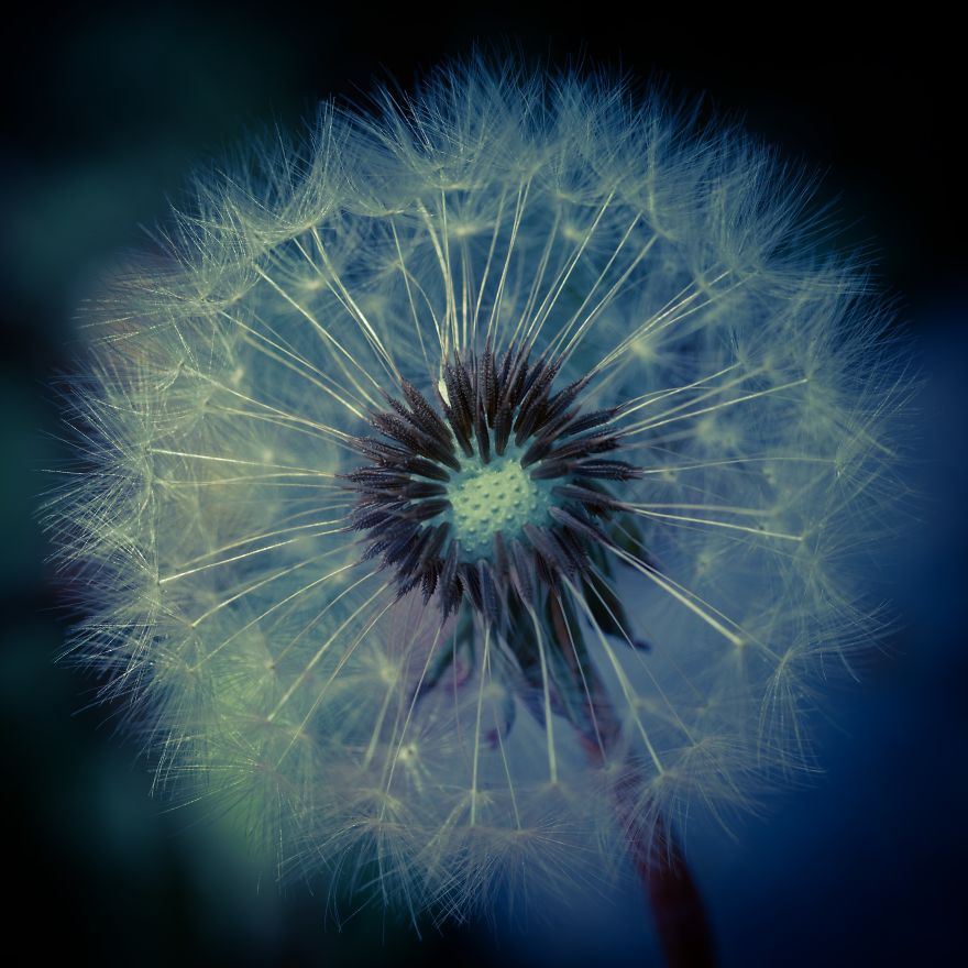 I Capture Seasonal Changes In Japanese Nature