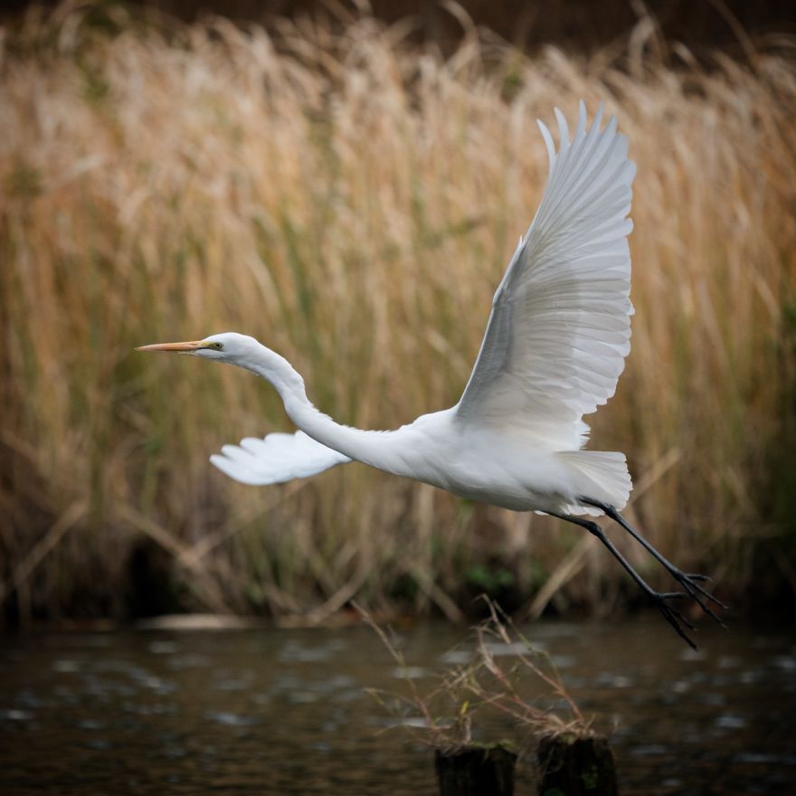 I Capture Seasonal Changes In Japanese Nature