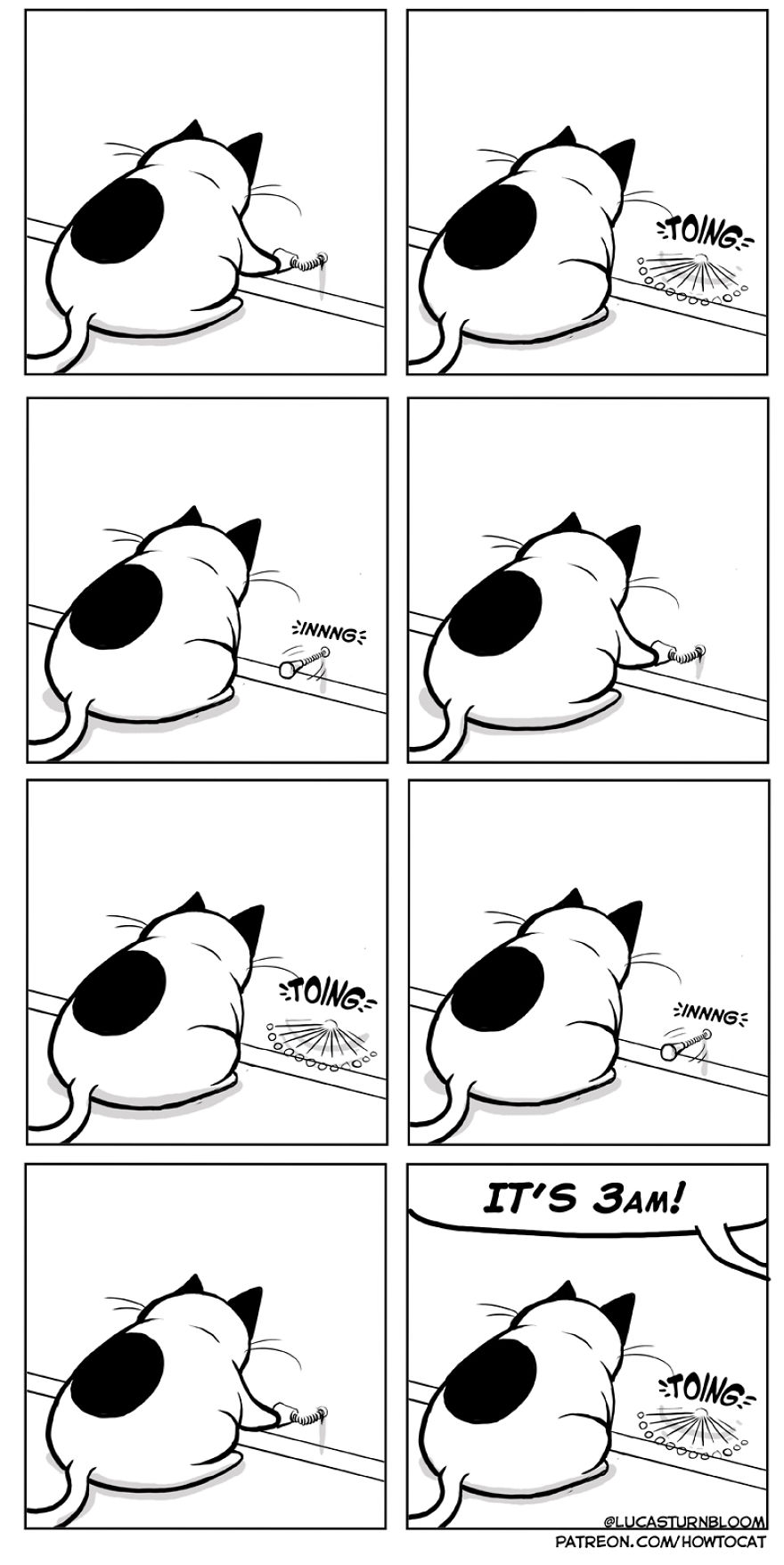 From Rescue Cat To 'How To Cat'