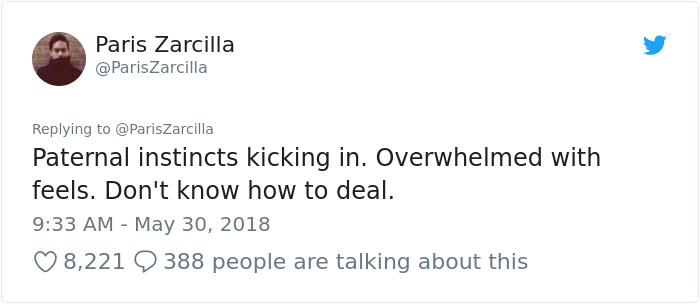 Guy Goes To His Bedroom To Grab A Sweater, Finds A Cat That Just Gave Birth Instead, And The Cat Isn't Even His Guy Goes To His Bedroom To Grab A Sweater, Finds A Cat That Just Gave Birth Instead, And The Cat Isn't Even His