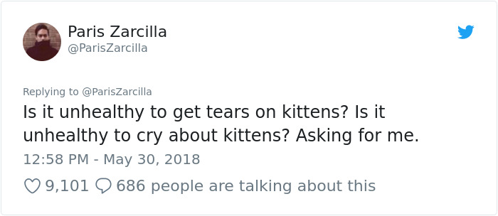 Guy Goes To His Bedroom To Grab A Sweater, Finds A Cat That Just Gave Birth Instead, And The Cat Isn't Even His Guy Goes To His Bedroom To Grab A Sweater, Finds A Cat That Just Gave Birth Instead, And The Cat Isn't Even His
