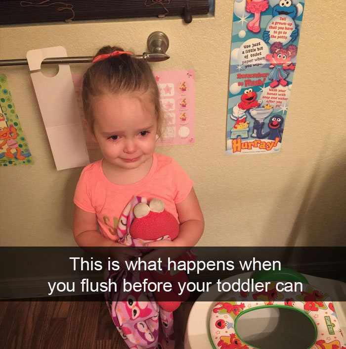 This Is What Happens When You Flush Before Your Toddler Can
