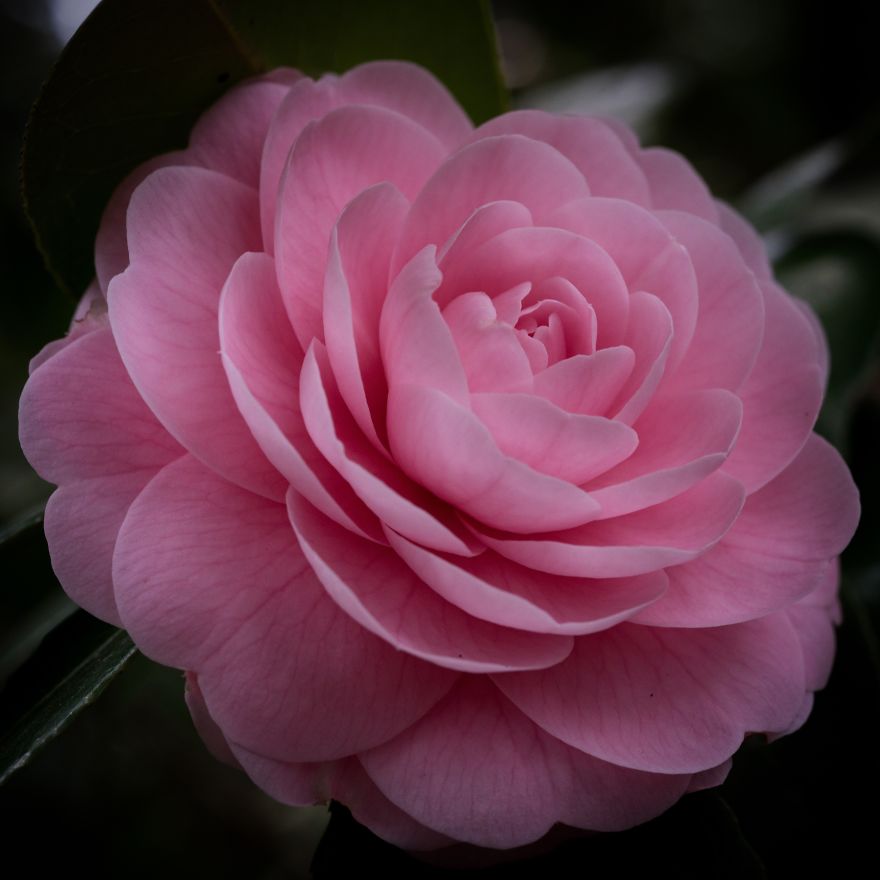 I Capture Seasonal Changes In Japanese Nature