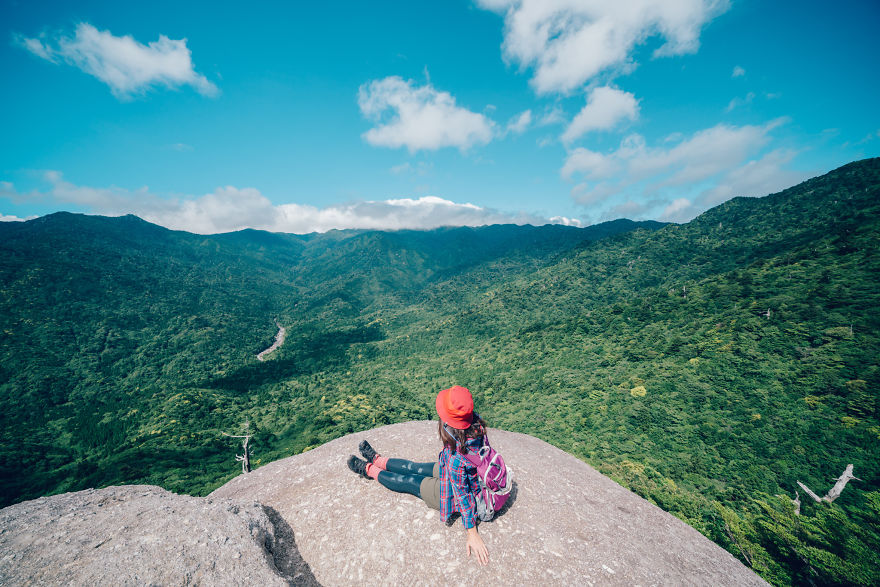 I Photographed The Ancient "Princess Mononoke" Forest.
