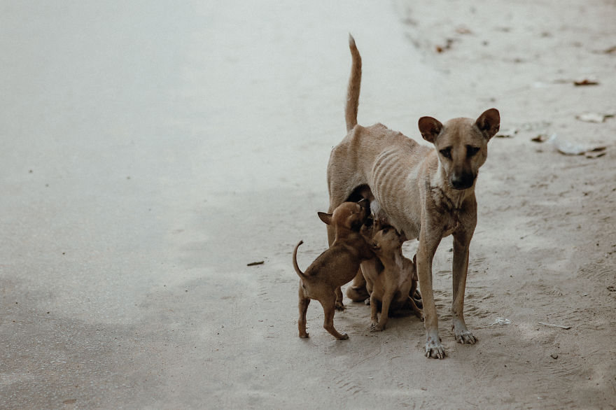 I Travelled Around Myanmar And Captured How People Lives There I Travelled Around Myanmar And Captured How People Lives There