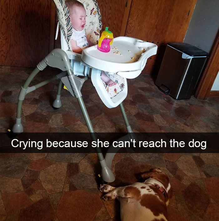 Crying Because She Can't Reach The Dog