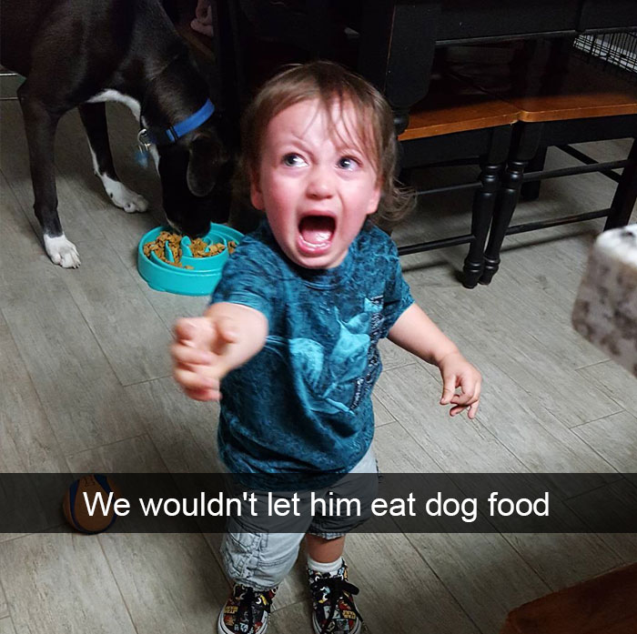 We Wouldn't Let Him Eat Dog Food