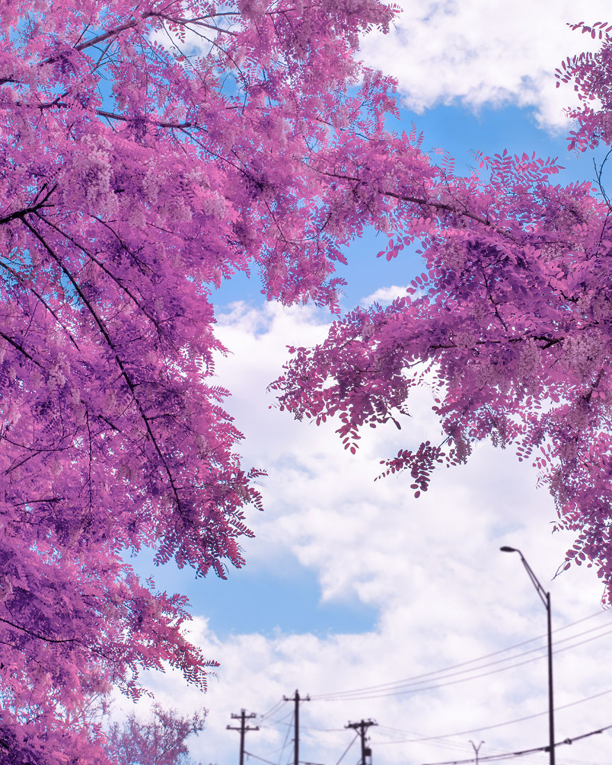 I Shoot Photos Inspired By Japanese Anime