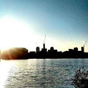 hollywoodrose666 avatar