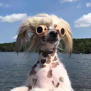 betsybraddock avatar