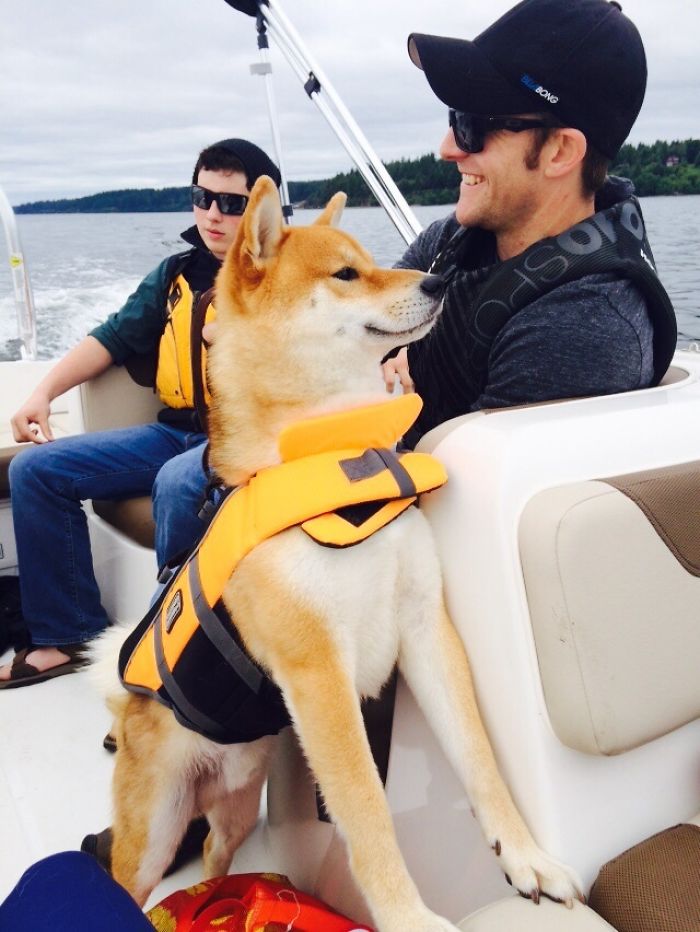 My Dog Can't Stop Smiling Because He Has Mastered The Sea