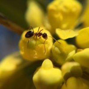 kristijan_cerin avatar