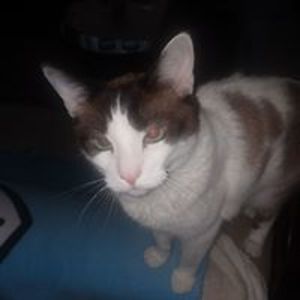 wlancaster4973 avatar