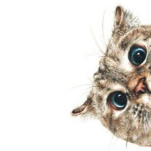 joannecristelbrioso avatar