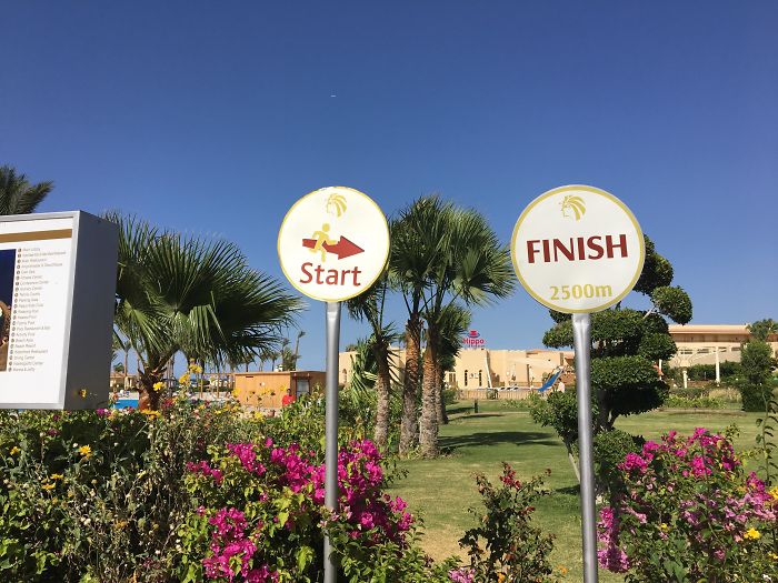 The Shortest 2500m I've Run In My Life