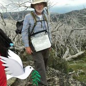 peterzimmermann avatar