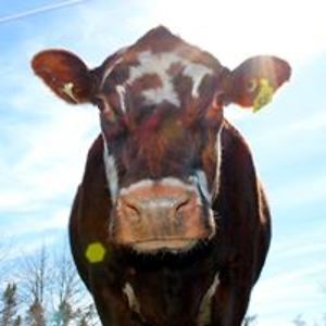 gabrielle_171 avatar