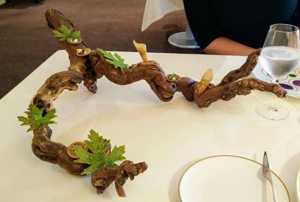 Do I Eat The Leaves?