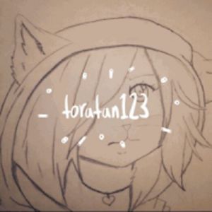 toratan123 avatar