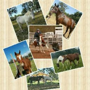 elizabethferguson avatar