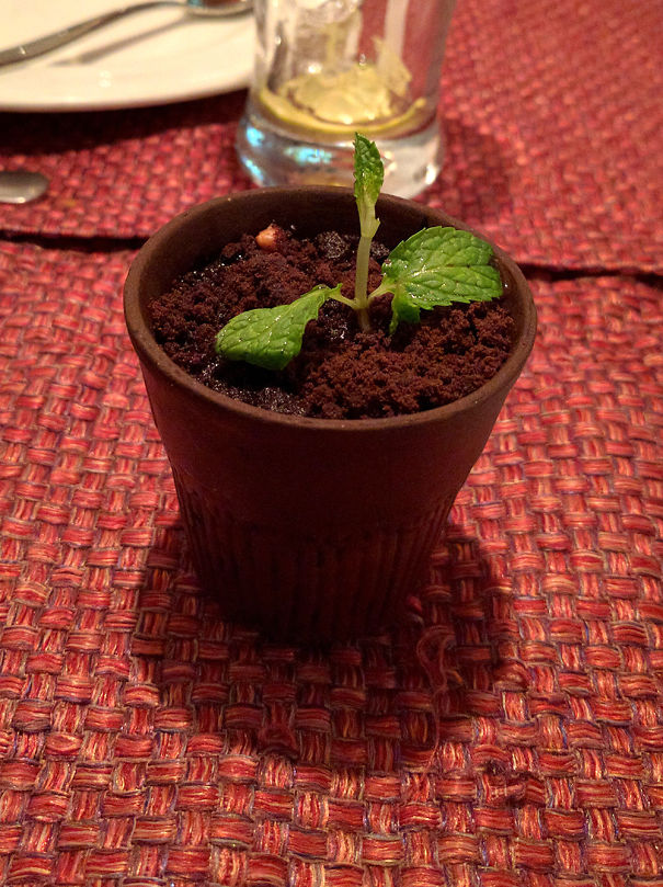 This Chocolate Mud Pie Is Served Like An Actual Potted Plant