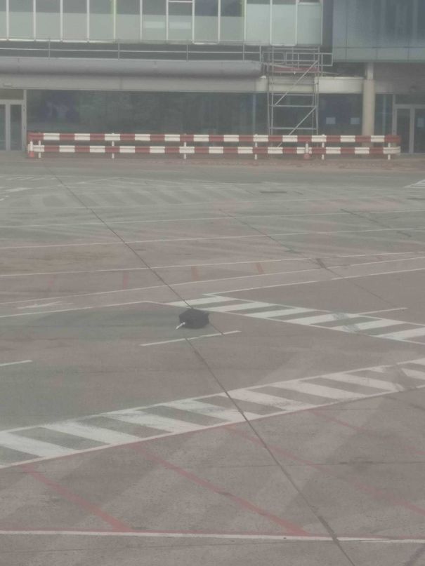 Just Saw Someone's Bag Drop Off A Trailer At Dublin Airport