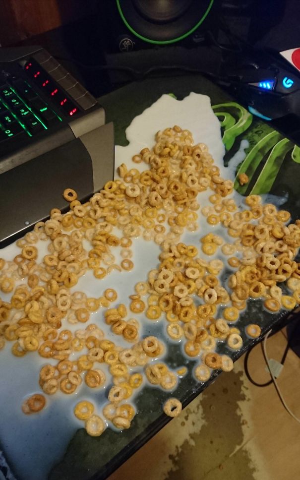 I Just Wanted A Midnight Snack