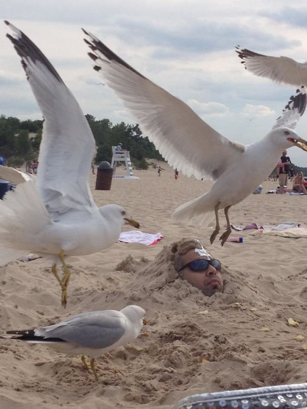 Buried A Friend In The Sand And Throw Potato Chips Around His Head - Then Came The Seagulls