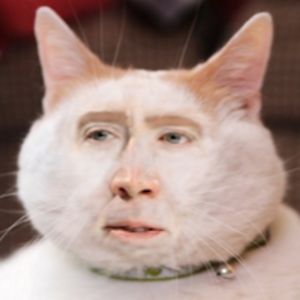 bobmcbobberson avatar