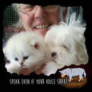 waterspaniel60 avatar