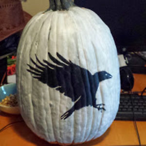 melissakoczur-mitchell avatar