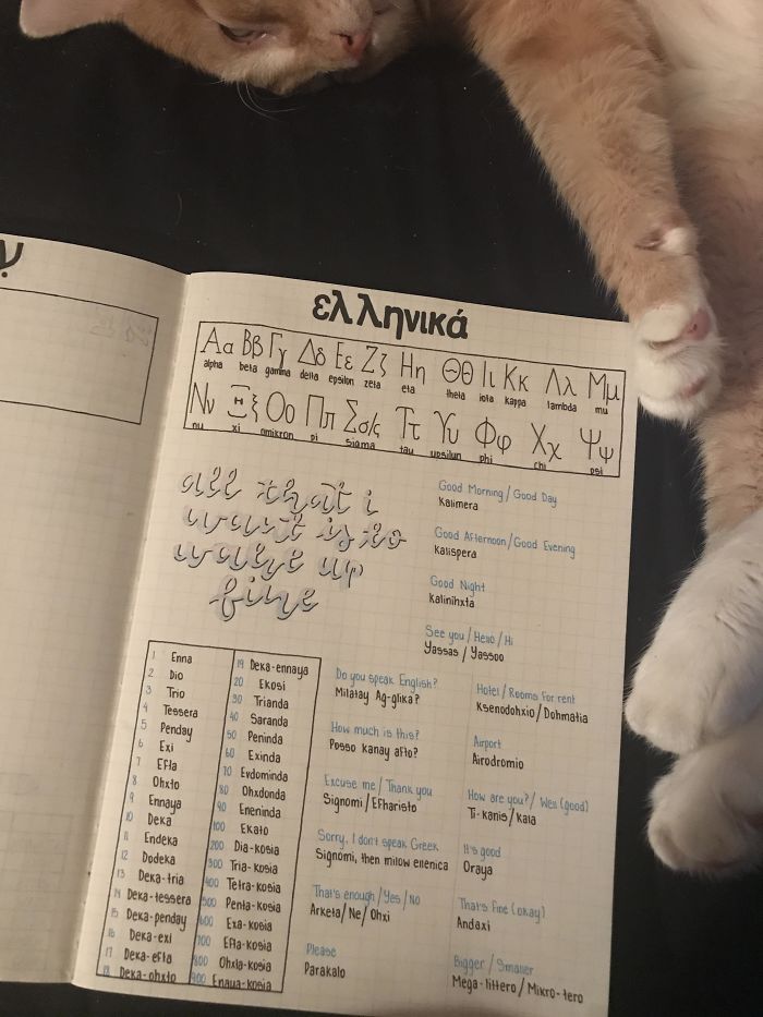 I'm Flying To Israel And Greece Next Sunday So I'm Writing Myself A Little Guide