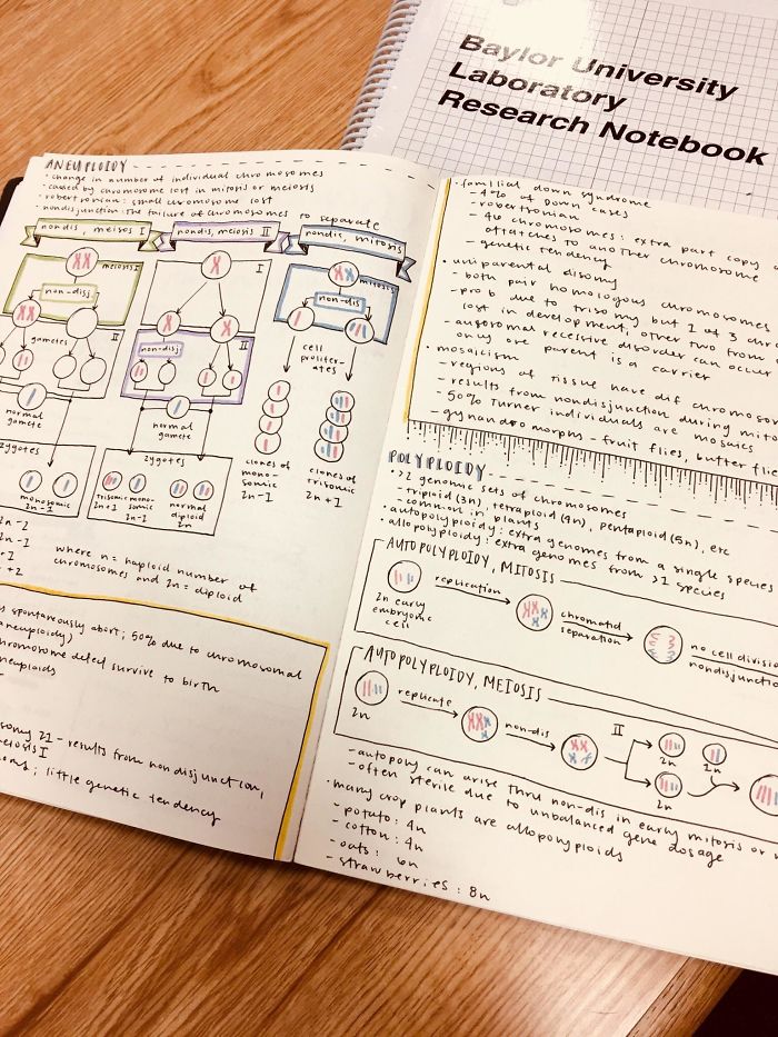 This Week She’s Studying For Genetics