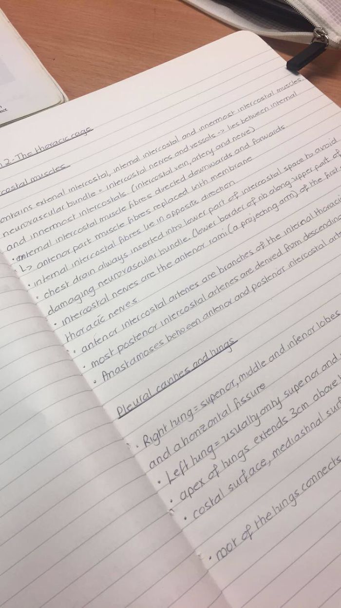 My Friends Are Always Raving About My Handwriting