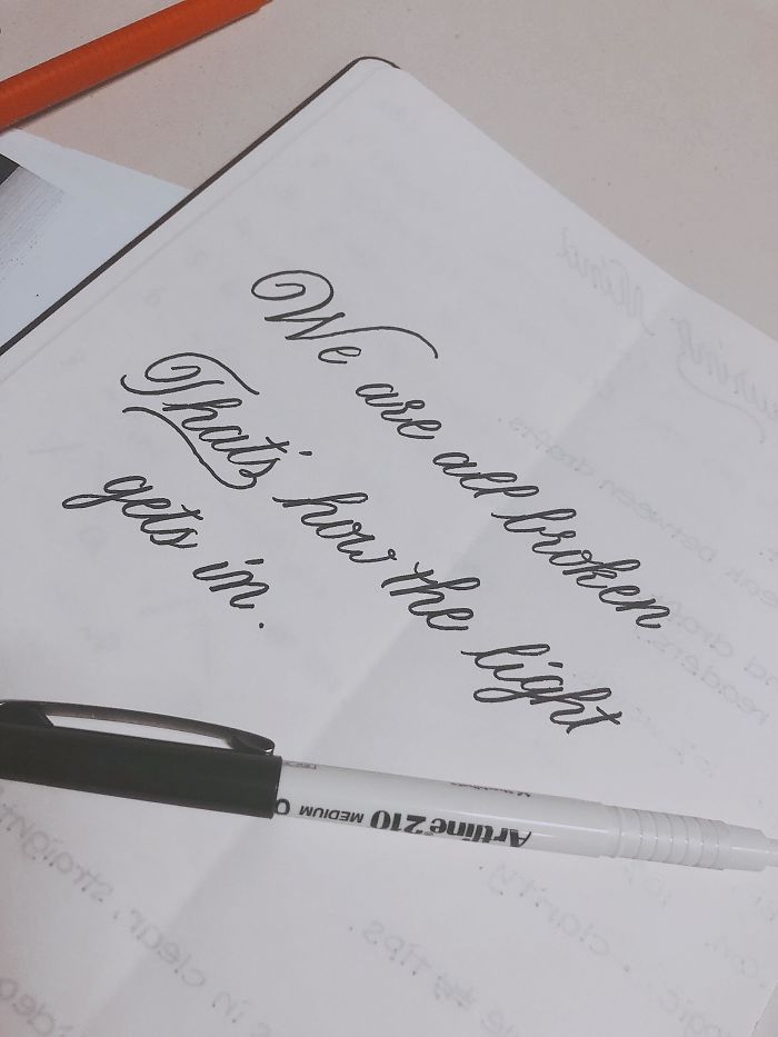 We Are All Broken, That's How The Light Gets In