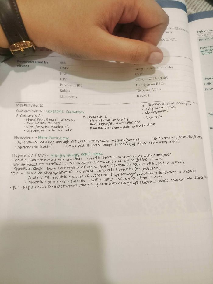 The Smaller, The Better Imo