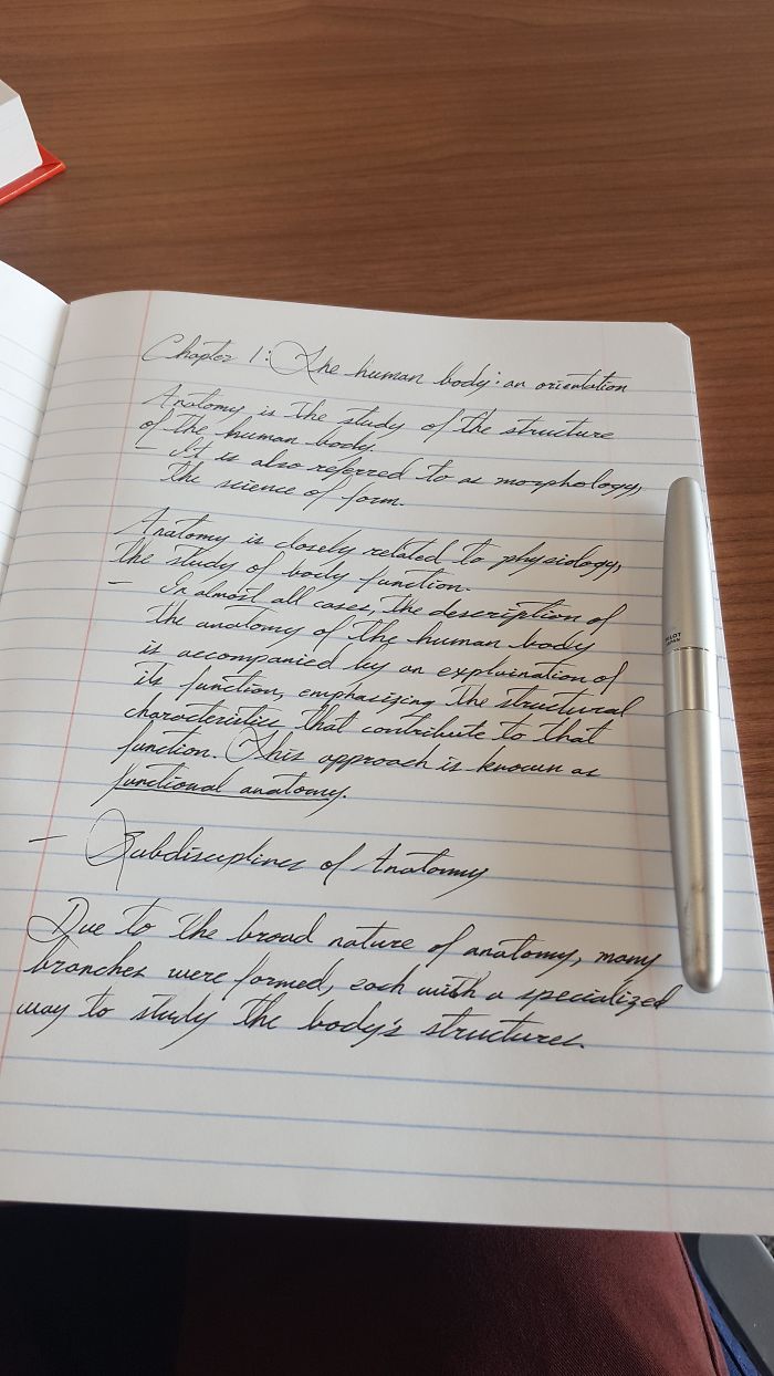 First Full Page Of Anatomy Notes!