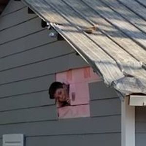 luke_p_flanders avatar