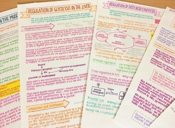 My Biochemistry Notes, Free Hand On Plain Paper