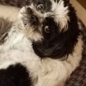 madeline_reese avatar