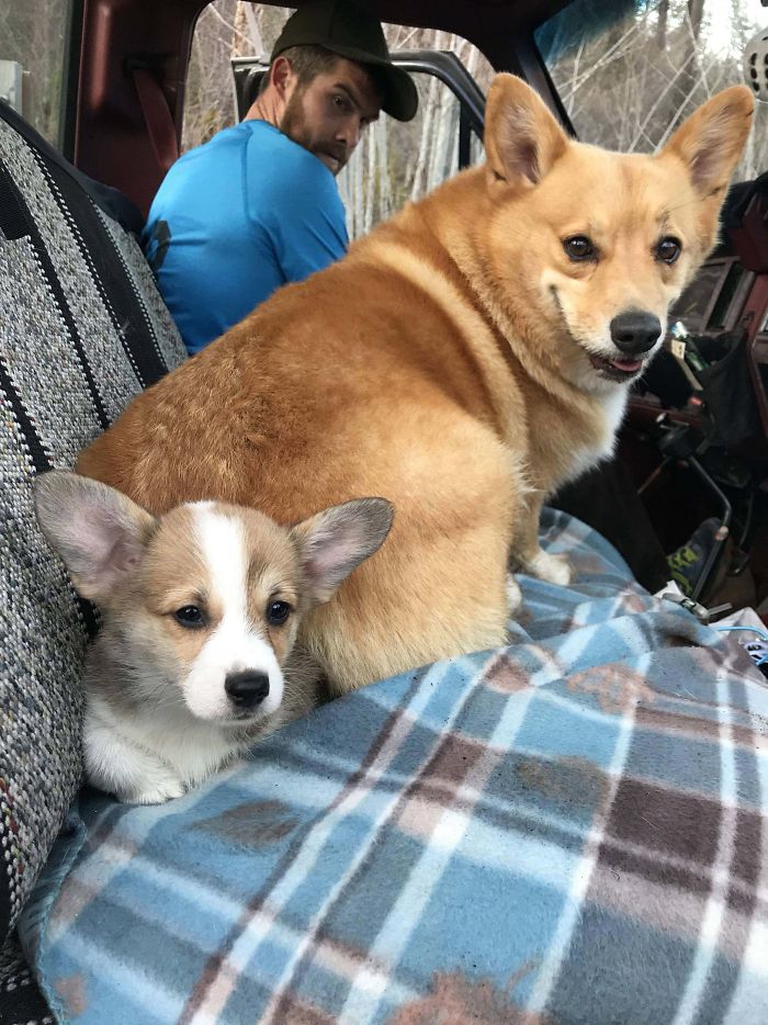 Jack Has Asserted His Dominance By Using The Power Move: Squish