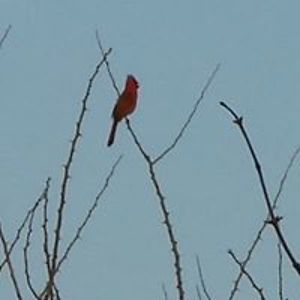 willkatie7581 avatar