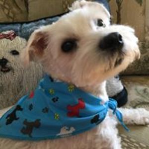 kathleen_clark_1 avatar