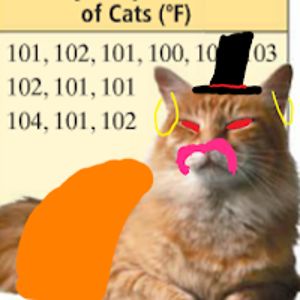 margaretcollins avatar