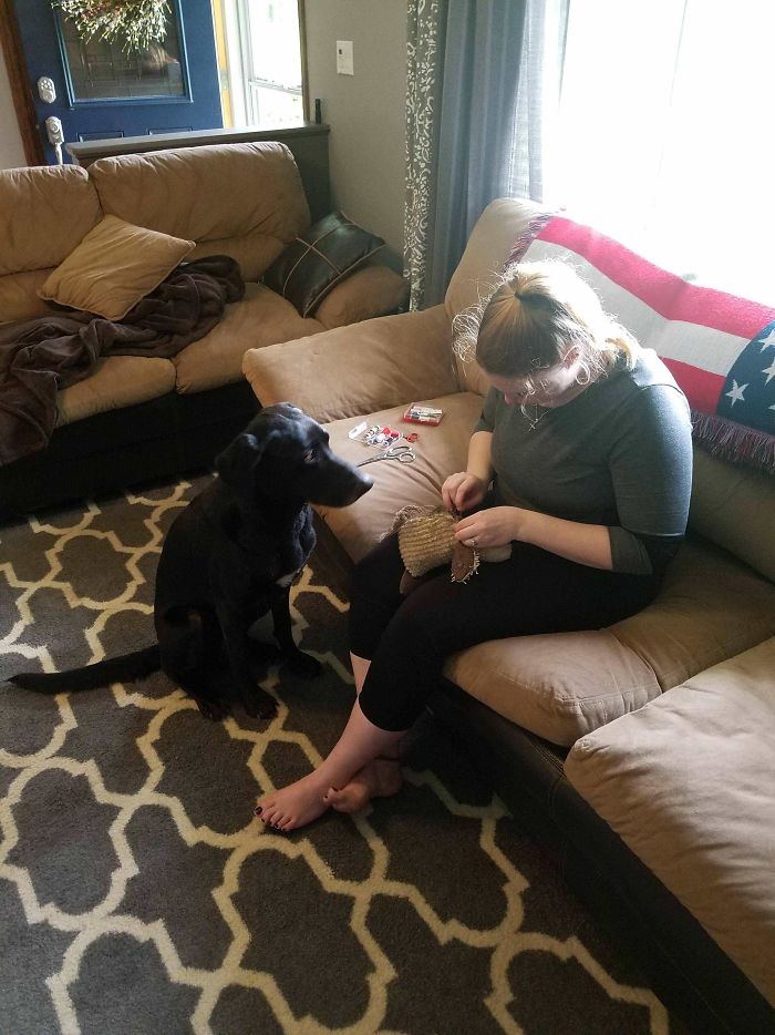 My Wife Operating On Our Boys Best Friend. He Is Making Sure Everything Is Going Well