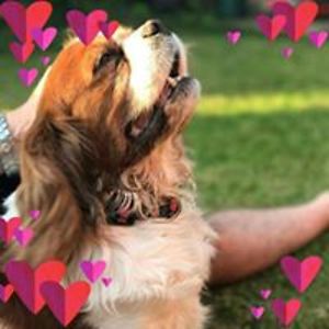 christine_ladyman_1 avatar