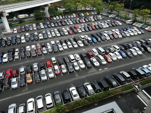 Almost Everyone In Japan Reverse Parks