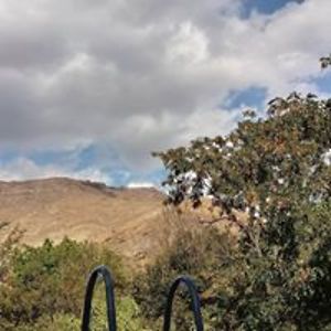 mariagracia_alicante avatar